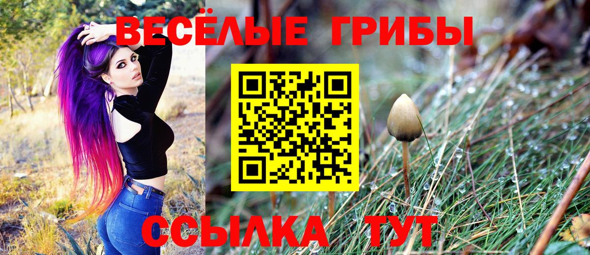 Удомля  Галлюциногенные грибы Psilocybe  Вход с VPN 