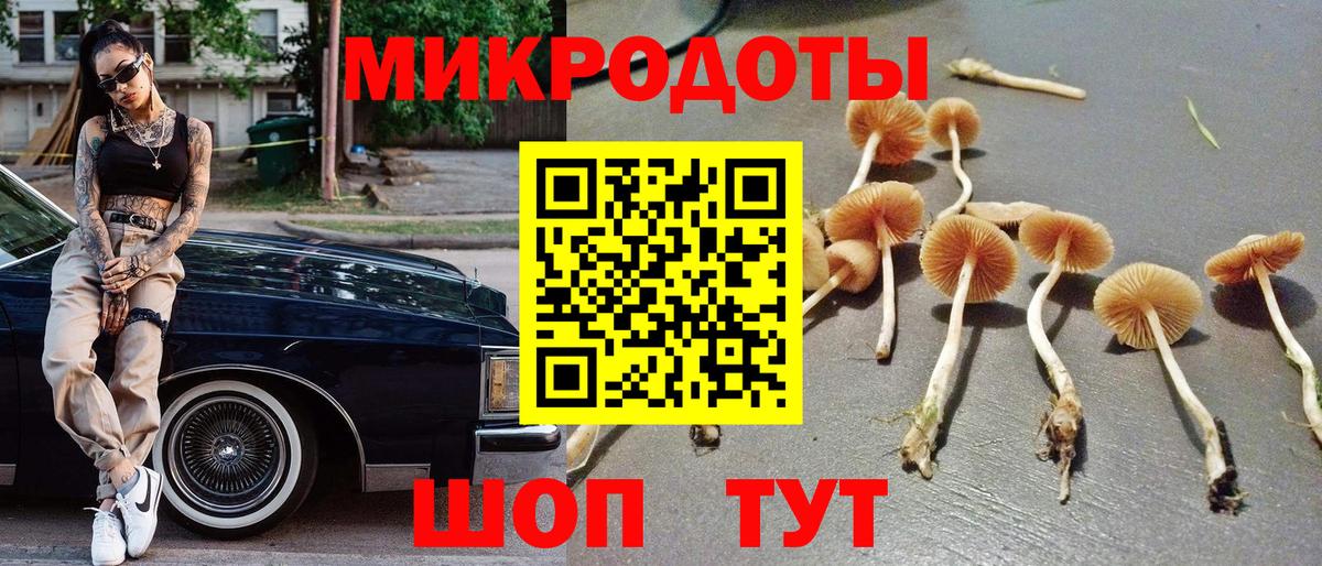 Псилоцибиновые грибы прущие грибы Удомля